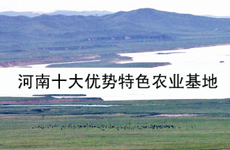 8月19日，河南省政府發(fā)布了關(guān)于深入推進農(nóng)業(yè)供給側(cè)結(jié)構(gòu)性改革 大力發(fā)展優(yōu)勢特色農(nóng)業(yè)的意見