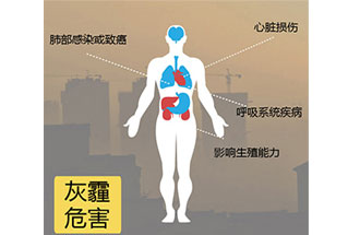 空氣中PM2.5 是由什么物質(zhì)組成的？