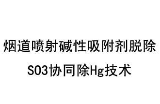 煙道噴射堿性吸附劑脫除SO3協(xié)同除Hg技術